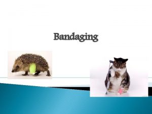 Bandaging Purpose of Bandages Protect wounds To keep