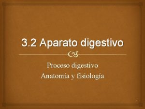 3 2 Aparato digestivo Proceso digestivo Anatoma y