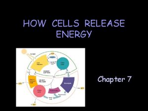 HOW CELLS RELEASE ENERGY Chapter 7 All cells