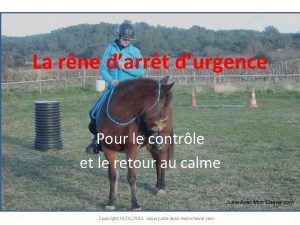 La rne darrt durgence Pour le contrle et