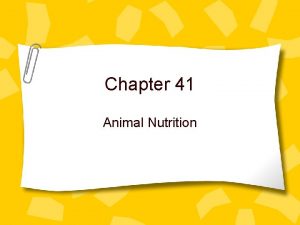 Chapter 41 Animal Nutrition 3 Categories of Animals