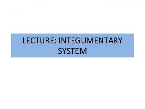 LECTURE INTEGUMENTARY SYSTEM Integumentary system The skin along