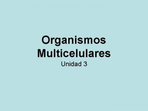 Organismos Multicelulares Unidad 3 Unicelulares Organismos formados por