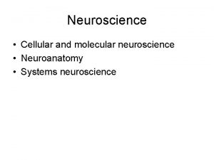 Neuroscience Cellular and molecular neuroscience Neuroanatomy Systems neuroscience