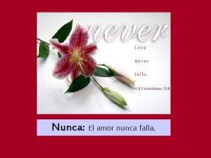 Nunca El amor nunca falla Regocjate El amor