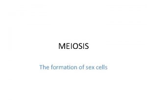 MEIOSIS The formation of sex cells Basic Meiosis