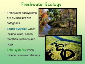 Freshwater Ecology Freshwater ecosystems are divided into two