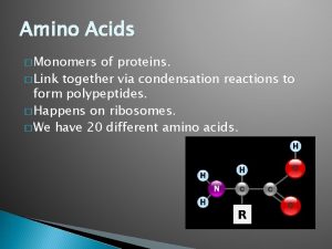 Amino Acids Monomers of proteins Link together via