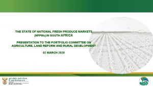 THE STATE OF NATIONAL FRESH PRODUCE MARKETS NFPMS
