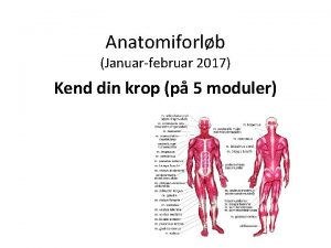 Anatomiforlb Januarfebruar 2017 Kend din krop p 5