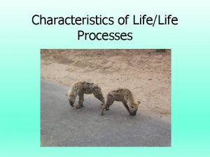 Characteristics of LifeLife Processes What makes something living