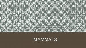 MAMMALS MAMMALS All mammals in the class Mammalia
