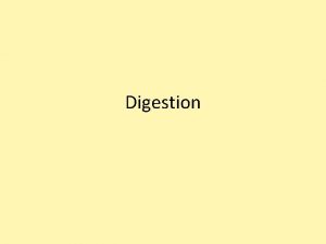 Digestion Digestion the process by which food is