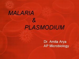 MALARIA PLASMODIUM Dr Amita Arya AP Microbiology Plasmodium