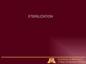 STERILIZATION UNIVERSITY OF MINNESOTA College of Veterinary Medicine