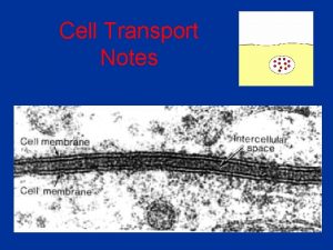 Cell Transport Notes About Cell Membranes 1 All