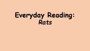 Everyday Reading Rats Rats poem Read through the