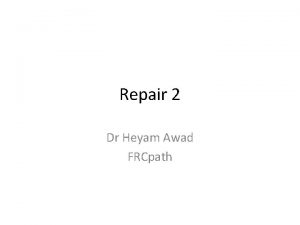 Repair 2 Dr Heyam Awad FRCpath Role of