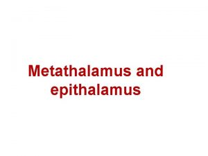 Metathalamus and epithalamus DIENCEPHALON The diencephalon is a
