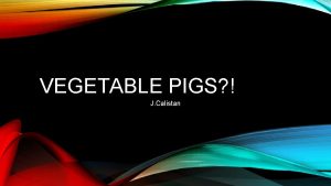 VEGETABLE PIGS J Calistan THE POPEYE PIGS Made