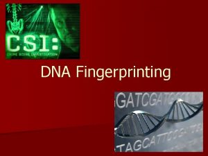 DNA Fingerprinting Genetic fingerprinting 90 or more of