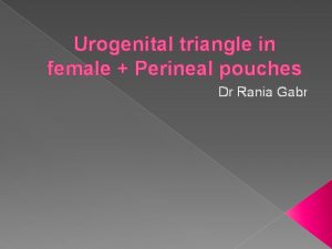 Urogenital triangle in female Perineal pouches Dr Rania