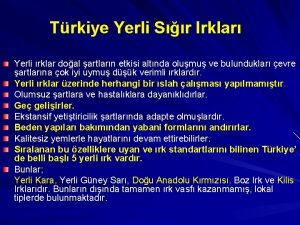 Trkiye Yerli Sr Irklar Yerli rklar doal artlarn