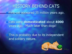 HISTORY BEHIND CATS n First cat appeared 35