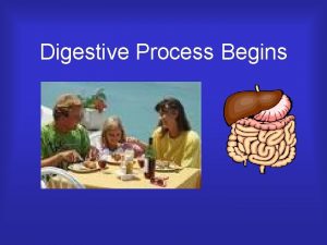 Digestive Process Begins Functions of Digestive System Breaks