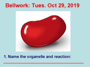 Bellwork Tues Oct 29 2019 1 Name the