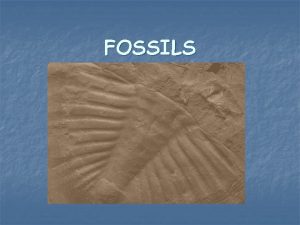 FOSSILS Start with Living Organism The organism can