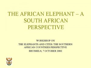 THE AFRICAN ELEPHANT A SOUTH AFRICAN PERSPECTIVE WORKSHOP