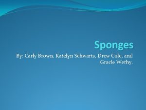 Sponges By Carly Brown Katelyn Schwarts Drew Cole