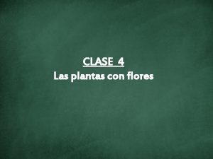 CLASE 4 Las plantas con flores Las PLANTAS
