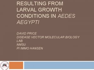 RESULTING FROM LARVAL GROWTH CONDITIONS IN AEDES AEGYPTI