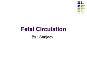 Fetal Circulation By Sanjeev Anatomy and Physiology Fetal