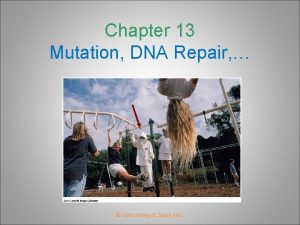 Chapter 13 Mutation DNA Repair John Wiley Sons