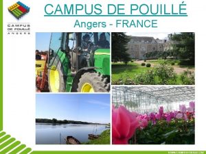 CAMPUS DE POUILL Angers FRANCE Campus de Pouill