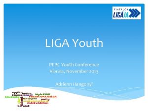 LIGA Youth PERC Youth Conference Vienna November 2013