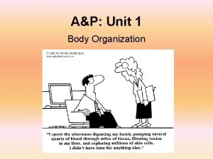 AP Unit 1 Body Organization Anatomy s Study