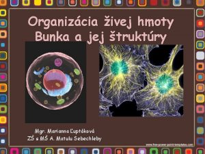 Organizcia ivej hmoty Bunka a jej truktry Mgr