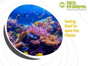 Saving Reef to save the Planet Saving Reef