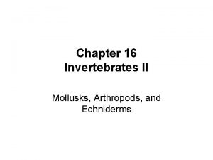 Chapter 16 Invertebrates II Mollusks Arthropods and Echniderms