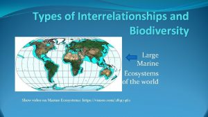 Types of Interrelationships and Biodiversity Large Marine Ecosystems