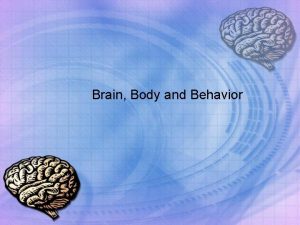 Brain Body and Behavior The Neuron Neuron nerve