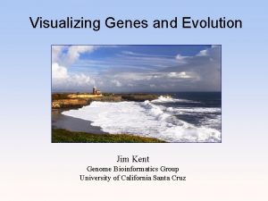 Visualizing Genes and Evolution Jim Kent Genome Bioinformatics