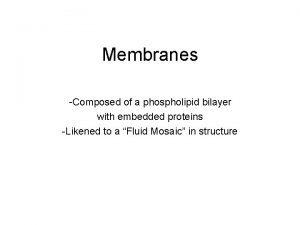Membranes Composed of a phospholipid bilayer with embedded
