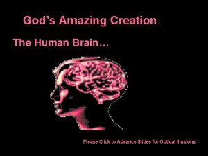 Gods Amazing Creation The Human Brain Please Click