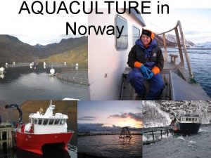 AQUACULTURE in Norway SEAFOOD The largest seafood suppliers