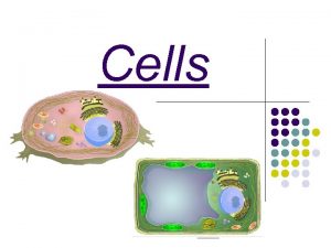 Cells Discovery of Cells l 1665 Robert Hooke